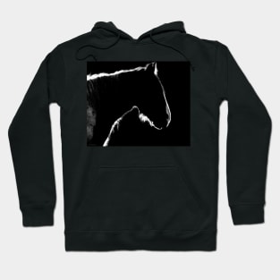 Just a horse . Hoodie